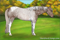 Horse Color:Silver Brown Ice Tobiano 