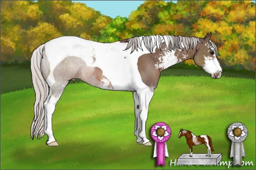 Horse Color: Silver Black Sabino Tobiano 