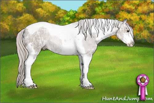 Horse Color: Silver Black Ice Sabino Tobiano 