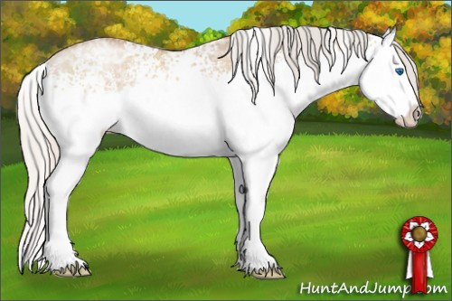 Horse Color: White Spotted Silver Grullo Ice Pearl Sabino Splash Rabicano 