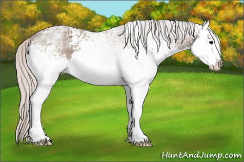 Horse Color: White Spotted Silver Black Ice Sabino Splash 