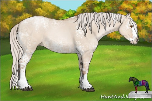 Horse Color: White Spotted Silver Grullo Ice Pearl Sabino Splash 