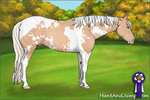 Horse Color: White Spotted Silver Classic Champagne Tobiano 