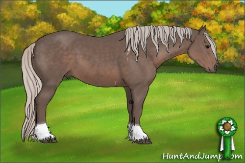 Horse Color: Silver Black Sabino Tobiano 