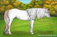 Horse Color:Gray Gold Champagne 