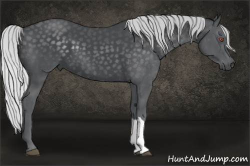 Horse Color: Silver Brown Chinchilla 