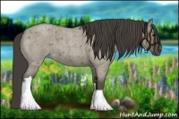 Horse Color:Smoky Grullo Roan 