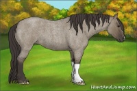 Horse Color:Smoky Grullo Roan 