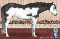 Horse Color:Brown Splash Frame 