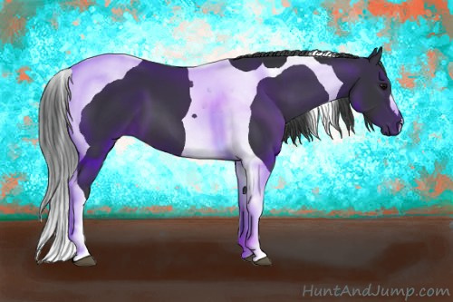 Horse Color: Black Tobiano 