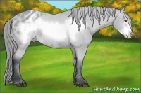 Horse Color:Bay Chinchilla Frame Appaloosa Rabicano 