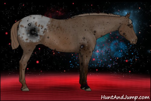 Horse Color: ERROR: UNKNOWN ANOMALY