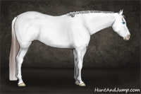 Horse Color:Bay Splash Blanket Rabicano 