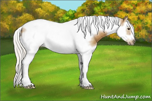 Horse Color: Silver Buckskin Splash Tobiano Frame Rabicano 