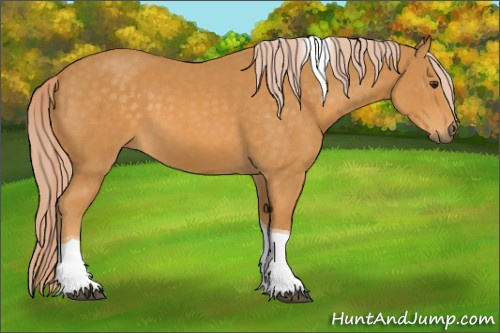Horse Color: Chocolate Palomino Tobiano 