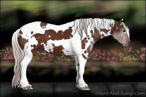 Horse Color: White Spotted Silver Bay Tobiano 