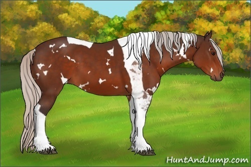 Horse Color: White Spotted Silver Bay Tobiano 