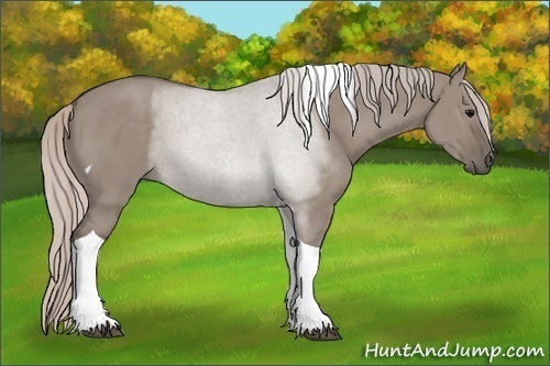 Horse Color: Silver Grullo Tobiano 