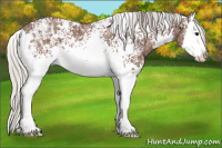 Horse Color:White Spotted Silver Brown Ice Splash 