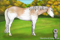 Horse Color:White Spotted Silver Bay Pearl Sabino Splash 