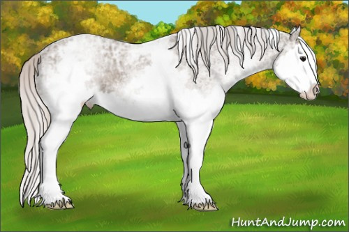 Horse Color: White Spotted Silver Grullo Ice Sabino Splash 