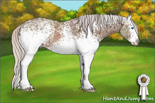 Horse Color: White Spotted Silver Black Ice Splash 
