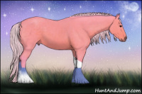 Horse Color:Watercolor Silver Brown Sabino Tobiano