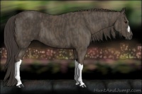 Horse Color:Smoky Black  Brindle