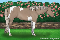 Horse Color:Silver Grullo Tobiano 