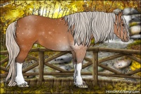 Horse Color:Silver Buckskin 