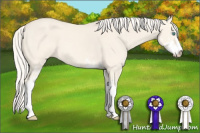 Horse Color:Cremello Dun Sabino