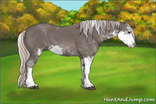 Horse Color: Silver Brown Sabino 