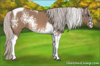 Horse Color:White Spotted Silver Brown Dun Tobiano