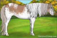 Horse Color:White Spotted Silver Bay Dun Tobiano 
