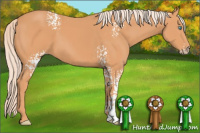 Horse Color:Gray White Spotted Cremello 