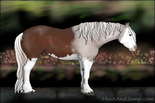 Horse Color: Silver Bay Splash 
