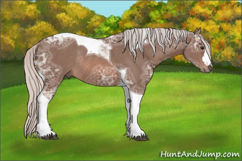 Horse Color: Silver Brown Ice Tobiano Rabicano 