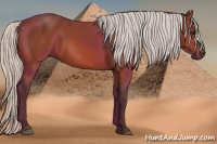 Horse Color:Silver Bay 