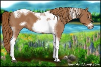 Horse Color:Chestnut Tobiano Frame 