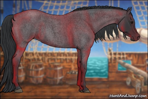 Horse Color:Blue Roan Rabicano 