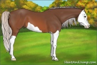Horse Color:Silver Brown Splash 