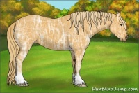 Horse Color:Watercolor Chocolate Palomino Ice 