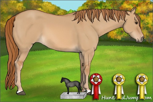 Horse Color: Red Dun 