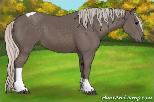 Horse Color: Silver Black Tobiano 