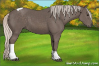 Horse Color:Silver Black Tobiano 