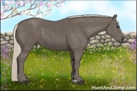 Horse Color:Silver Black 