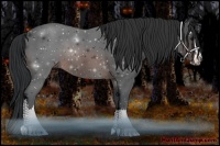 Horse Color:Brown Sabino