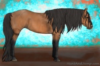 Horse Color:Bay Rabicano 