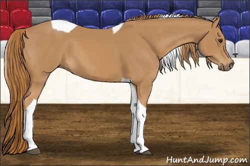 Horse Color: Chestnut Tobiano 