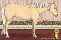Horse Color:Palomino Dun 